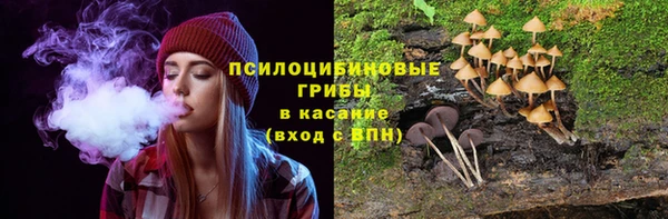 мдпв Кукмор