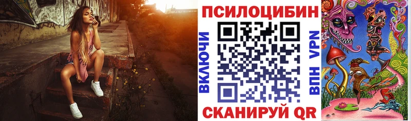 Купить закладки  Ясногорск  Галлюциногенные грибы Psilocybe 